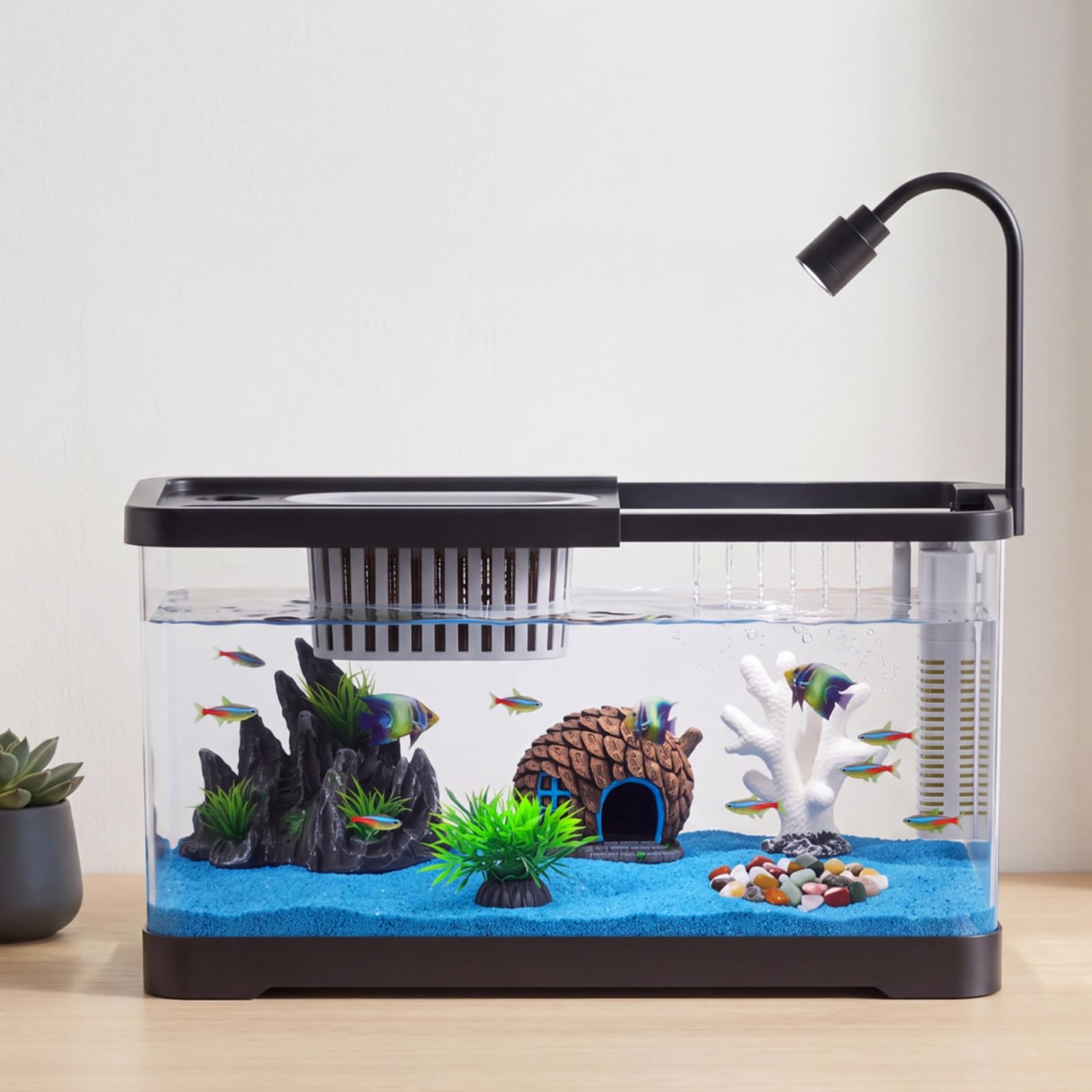 Betta Fish Tank - Kit Iniziale per Acquario con Filtro