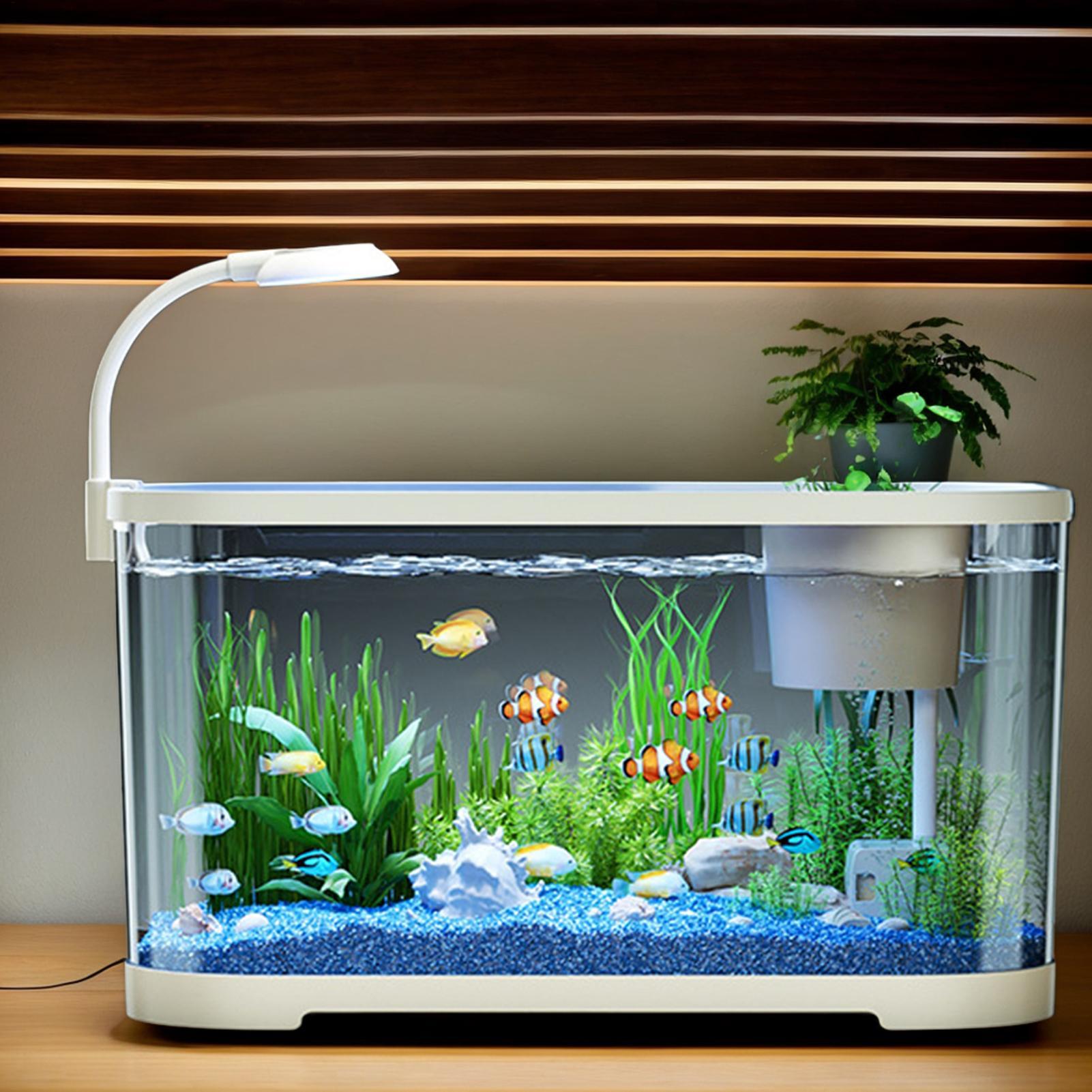 Betta Fish Tank - Kit acquario Starter Betta Fish Tank