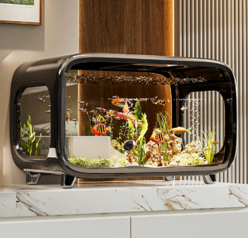 Fish Aquarium Home - Acquario ecologico trasparente dal design creativo,