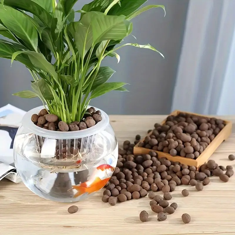 Pellet di terracotta leggeri e - Aquarium Plants recensione e prezzo