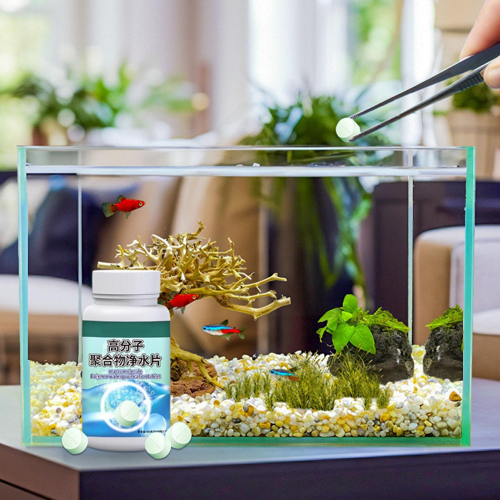 Purificatore d'acqua per acqua - Betta Fish Tank recensione e prezzo