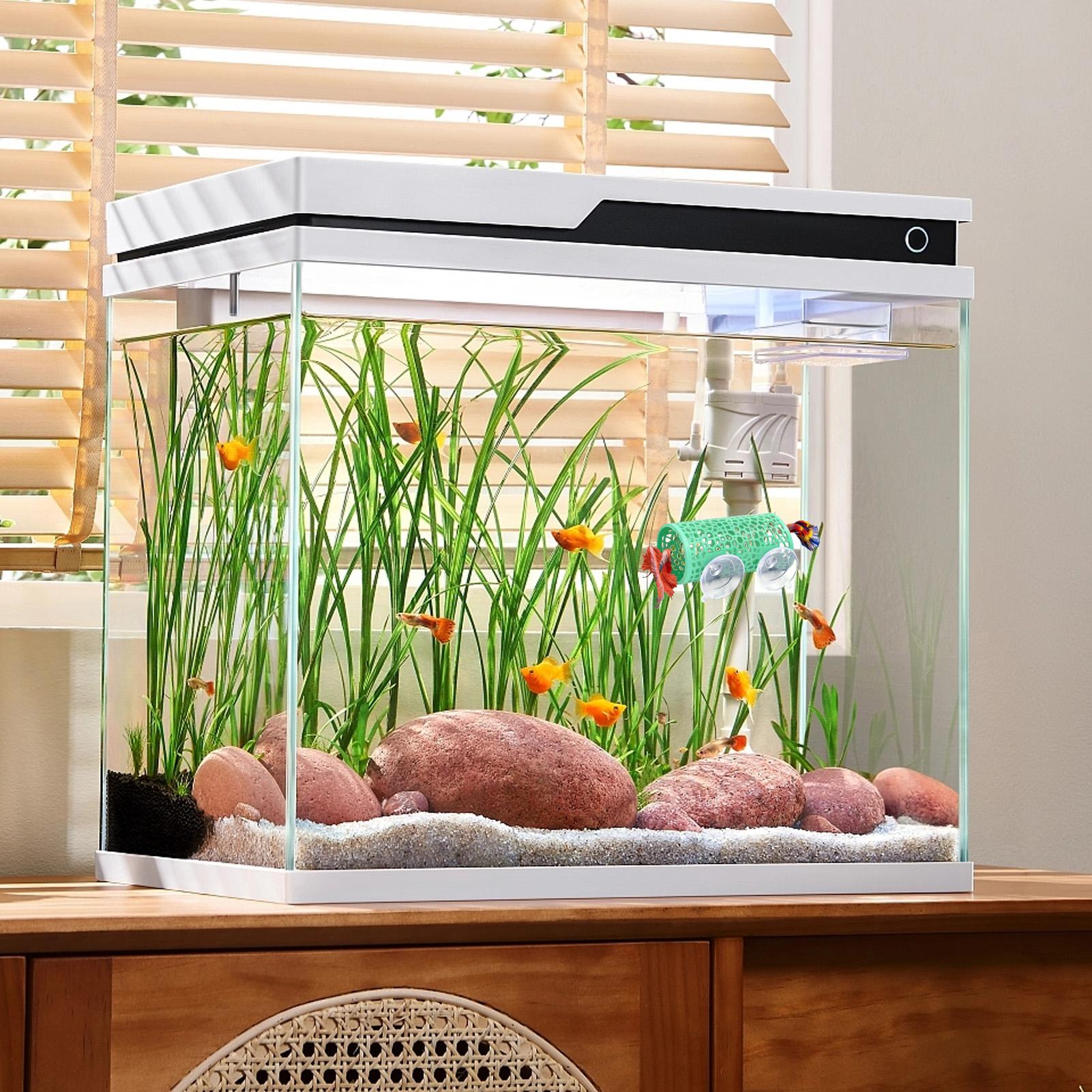 Tunnel Giocattolo per Pesci Be - Betta Fish Tank recensione e prezzo