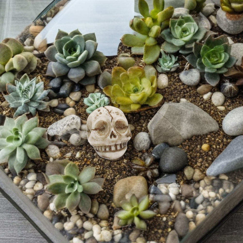 20 pezzi di teschi sorridenti  - Aquarium Decor recensione e prezzo
