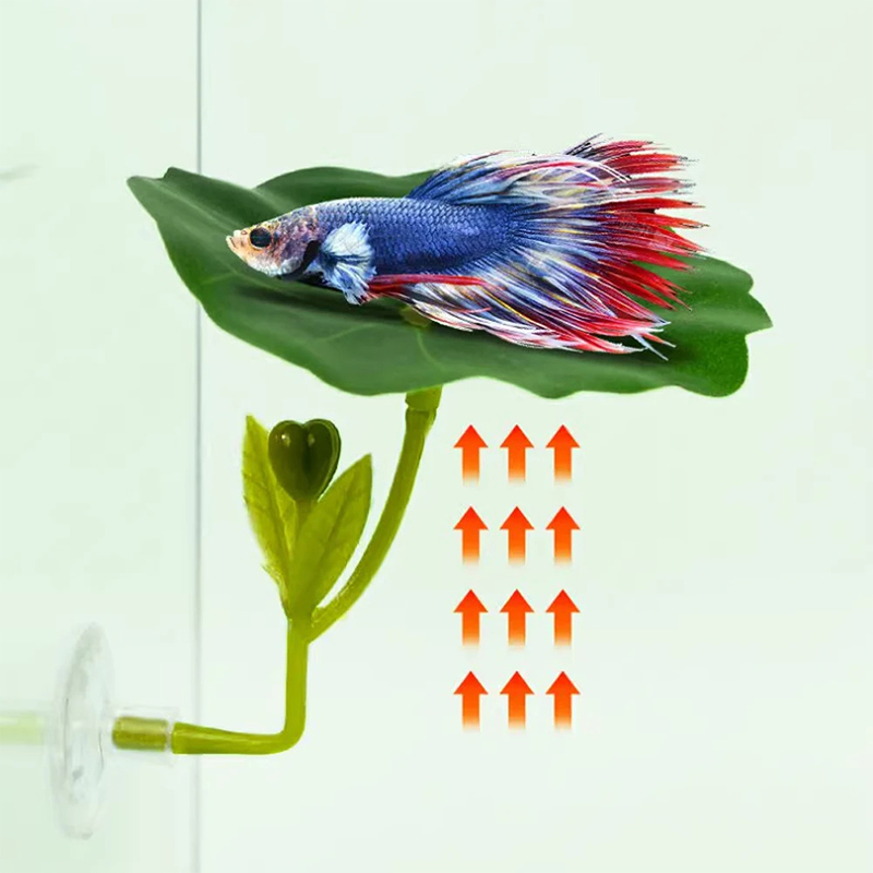 (Ce14)1/5PC Amaca a forma di f - Betta Fish Tank recensione e prezzo