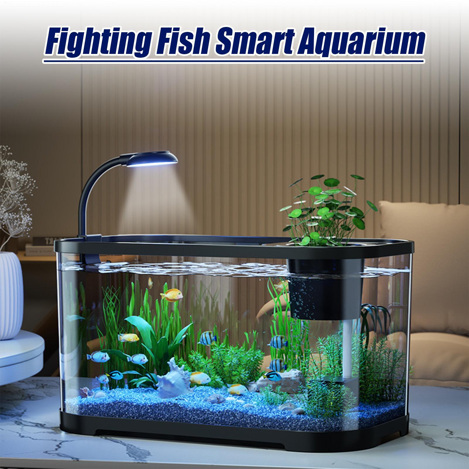 Kit acquario Starter Betta Fis - Betta Fish Tank recensione e prezzo