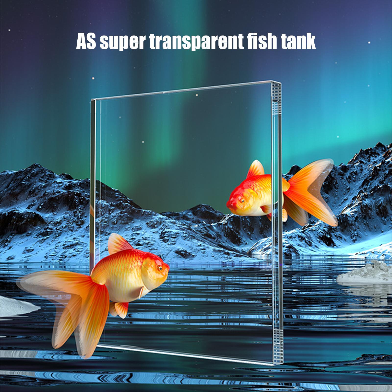 Kit acquario Starter Betta Fis - Betta Fish Tank recensione e prezzo
