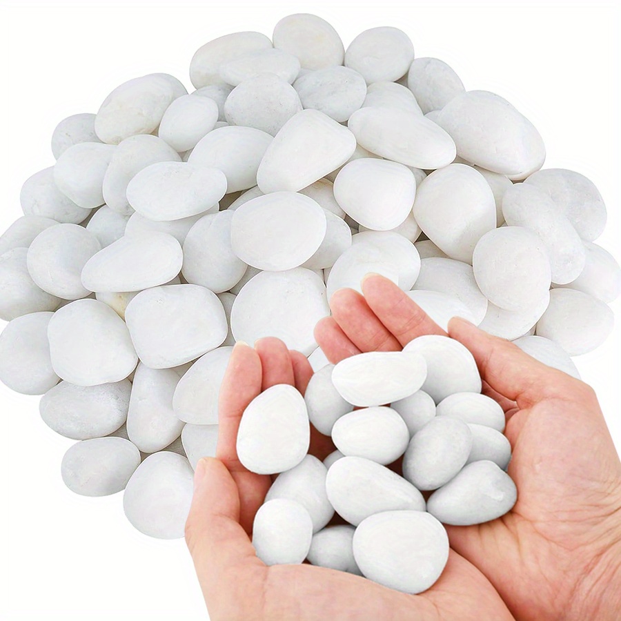 200/400g Bianco Alto Lucido Ci - Aquarium Plants recensione e prezzo