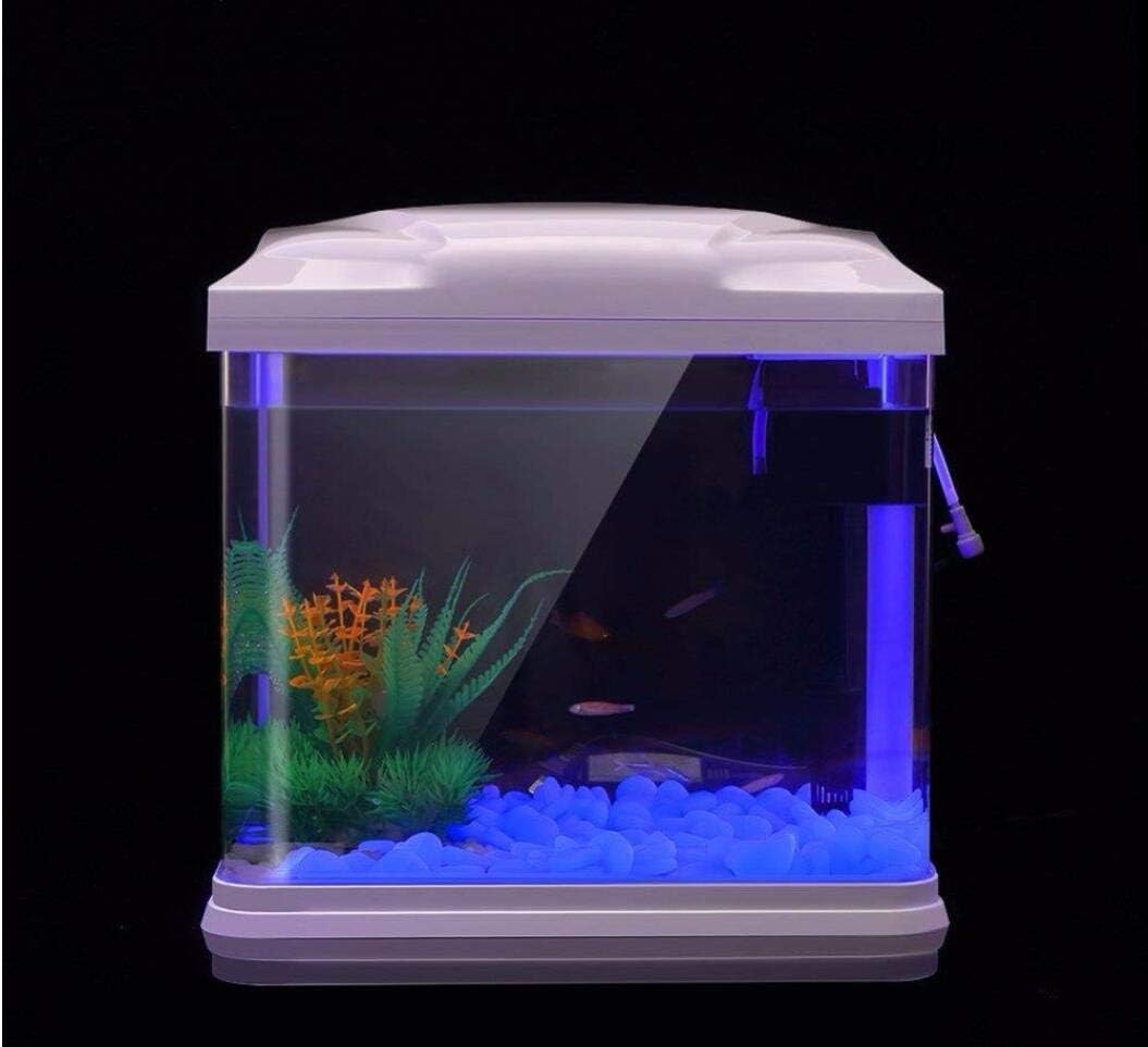 Rocce per acquari che si illum - Aquarium Plants recensione e prezzo