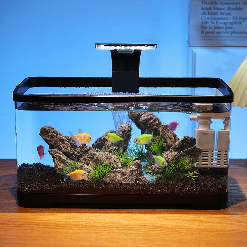 Acquario da tavolo con filtro  - Fish Tank Filter recensione e prezzo