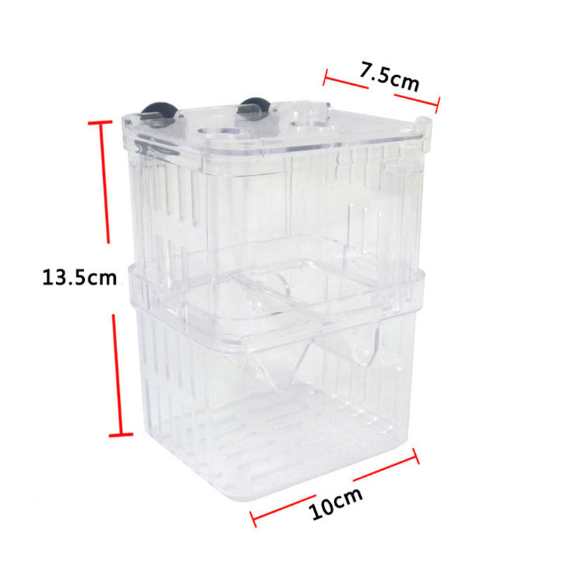 Scatola di isolamento per alle - Betta Fish Tank recensione e prezzo