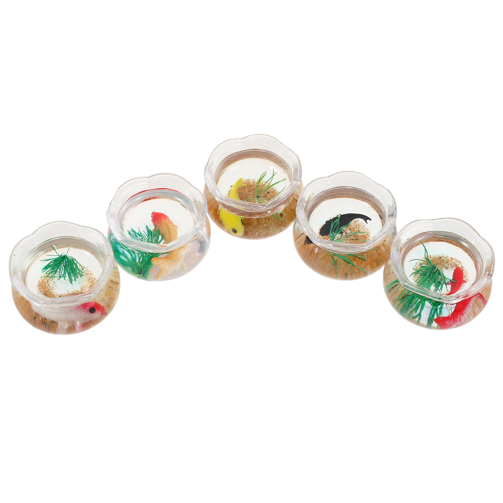 Set da 5 mini acquari per pesc - Aquarium Plants recensione e prezzo